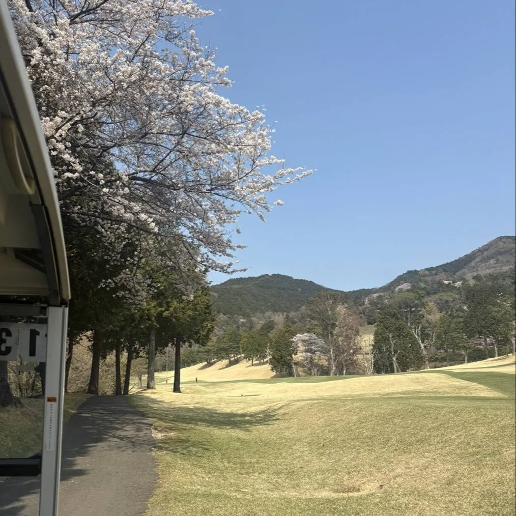 Club DUKE所属キャストのももかの肖像写真