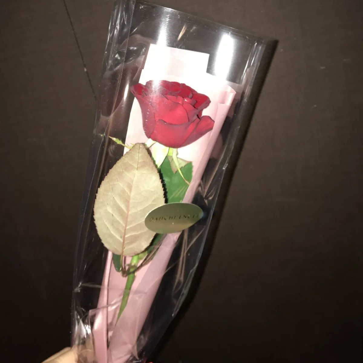 Club DUKE所属キャストの「あやこ」の肖像写真