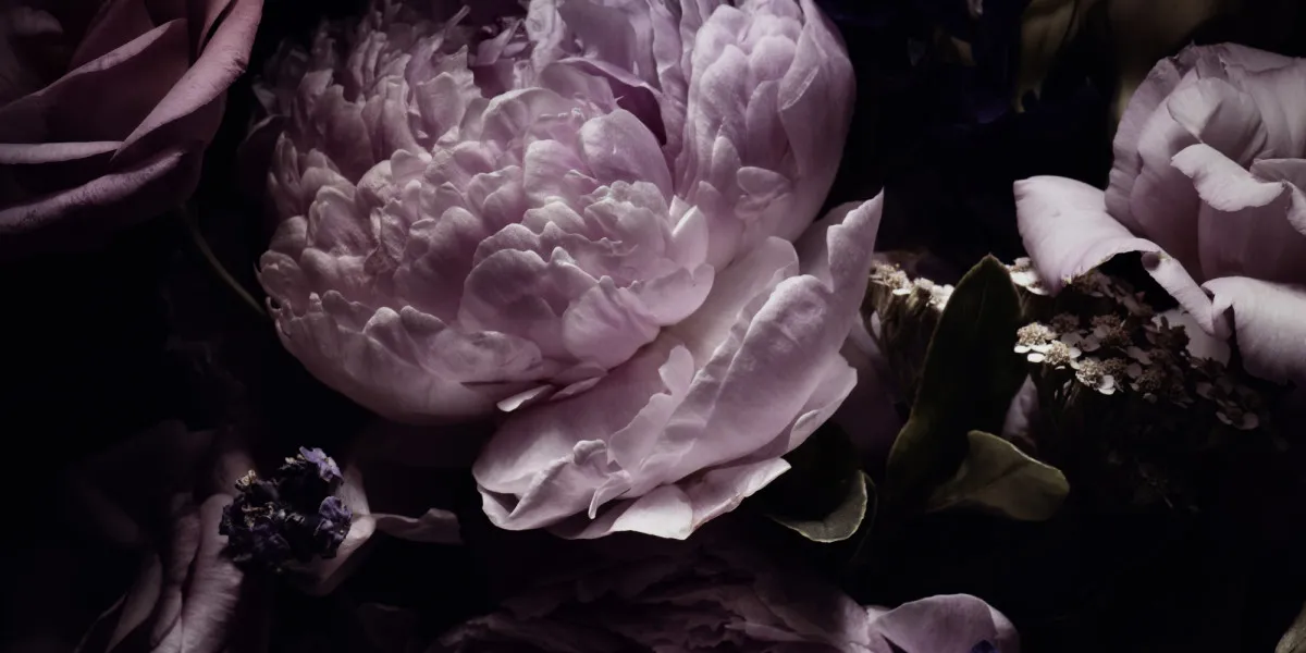 プロモーション画像