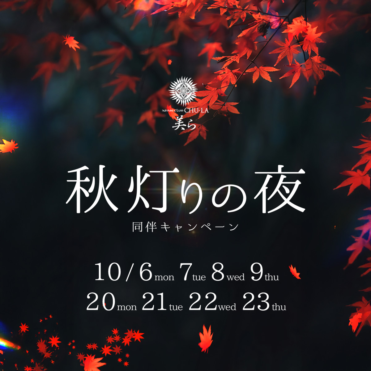 1番目のニュース記事「秋灯りの夜の画像