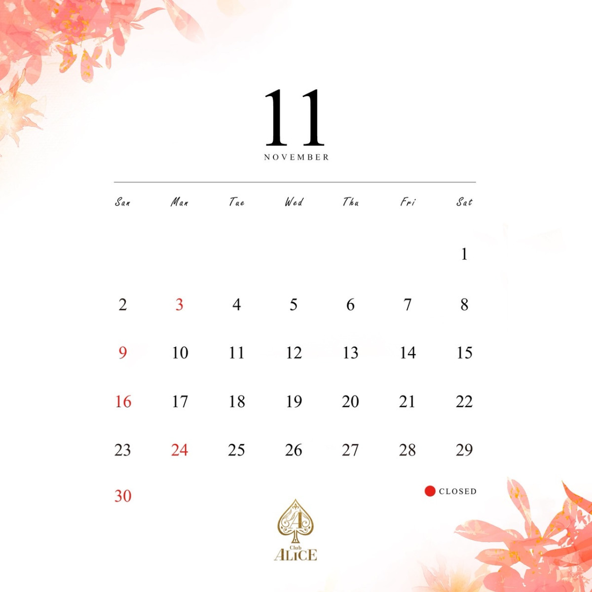 1番目のニュース記事「2025.11scheduleの画像