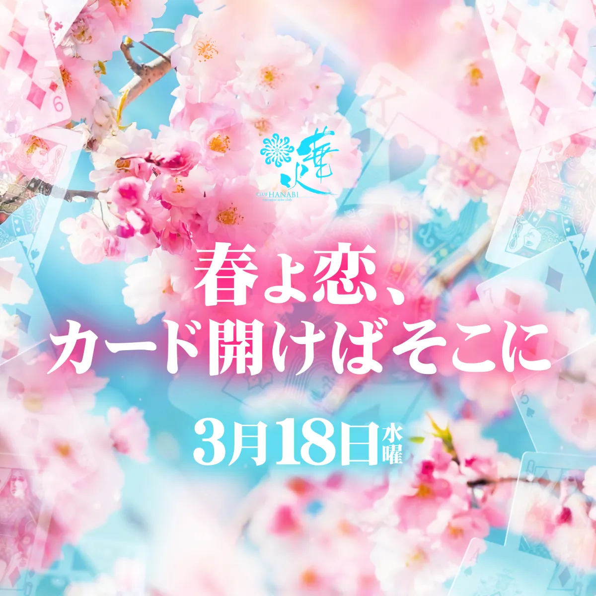 華火の最新ニュース