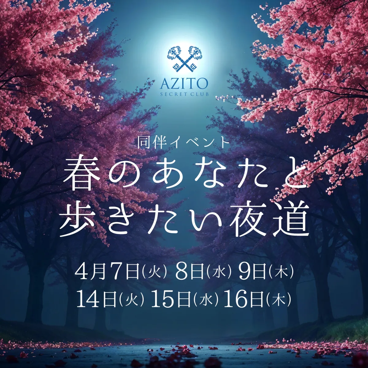 AZITOの最新ニュース