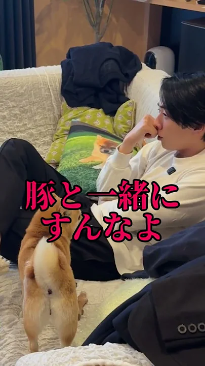 <22番目のSNSサムネイル、'ヴァルテン'のYouTube投稿